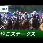 2025年 みやこステークス（GⅢ） | 第15回 | JRA公式