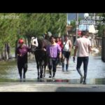 大雨から一夜 金沢競馬場・厩舎浸水で馬を避難