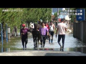 大雨から一夜　金沢競馬場・厩舎浸水で馬を避難