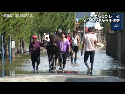 大雨から一夜 金沢競馬場・厩舎浸水で馬を避難