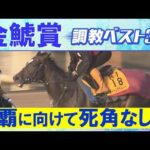 「今が充実！中３週の疲れなし」クイーンズウォーク、ドゥラドーレス、ジョバンニ・・・競馬エイト・高橋賢司トラックマンの調教解説＜金鯱賞(ＧⅡ)＞