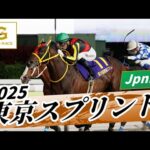 2025年 東京スプリントJpnIII|第36回|NAR公式