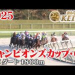 【チャンピオンズカップ・GⅠ】チャンピオンズC 中京 ダート 1600m 2025 レース  【みんなのKEIBA】