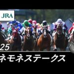 2025年 アネモネステークス（L） | JRA公式