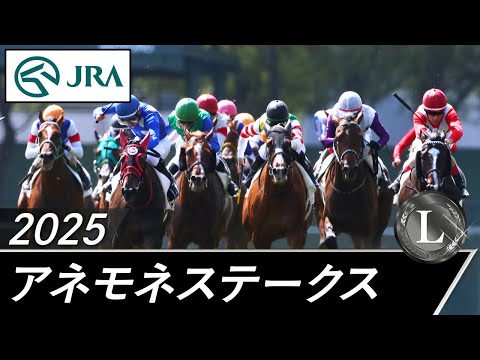 2025年 アネモネステークス(L) | JRA公式