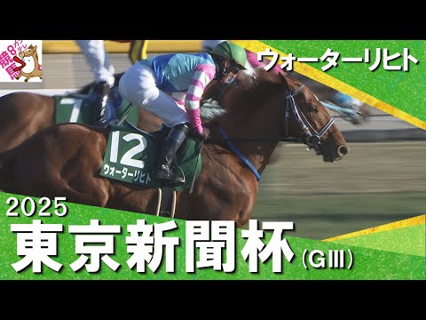 2025年 東京新聞杯 (GⅢ) ウォーターリヒト【カンテレ公式】