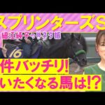 【4週連続注目馬が激走中!】「イッパツ狙うならここ!」サトノレーヴ、ナムラクレア、ママコチャ・・・スプリンターズステークス(GⅠ)を元ジョッキーの細江純子さんが解説!<細江純子のネタ帳>