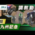【調教動画】2025年 北九州記念｜JRA公式