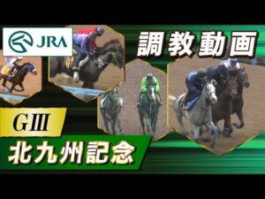 【調教動画】2025年 北九州記念｜JRA公式