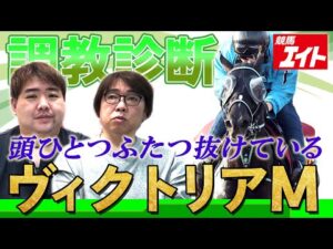 【競馬エイト調教診断】ヴィクトリアマイル（佐藤圭＆山本忍）