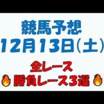 【競馬予想】１２月１３日（土）全レース予想／厳選３レース(平場予想・重賞予想)