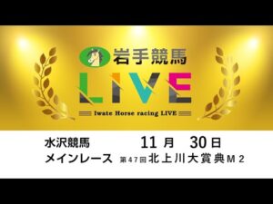 2025年11月30日 岩手競馬LIVE