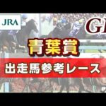 【参考レース】2025年 青葉賞｜JRA公式