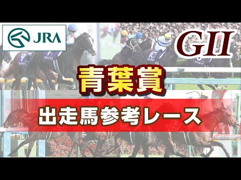 【参考レース】2025年 青葉賞|JRA公式