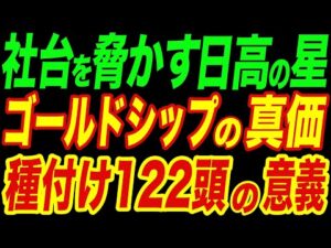 社台を脅かす“日高の星”ゴールドシップ!種付け122頭の意味とは?