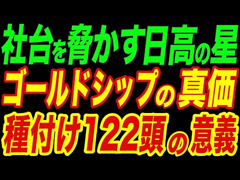 社台を脅かす“日高の星”ゴールドシップ!種付け122頭の意味とは?