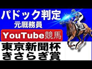 きさらぎ賞2026完全予想！東京新聞杯2026完全予想！今年の注目馬とパドックを徹底解説！