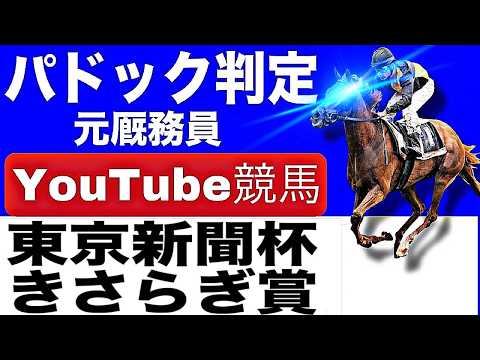 きさらぎ賞2026完全予想！東京新聞杯2026完全予想！今年の注目馬とパドックを徹底解説！