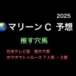 【競馬予想】 地方交流重賞 マリーンカップ 2025  予想
