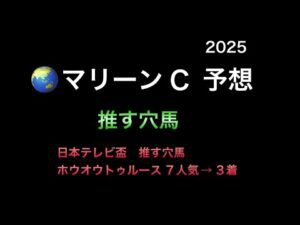 【競馬予想】　地方交流重賞　マリーンカップ　2025  予想