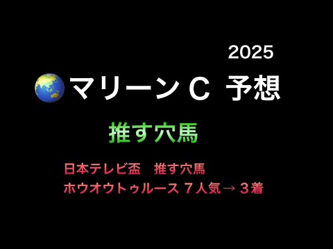 【競馬予想】 地方交流重賞 マリーンカップ 2025 予想