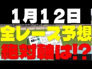 【競馬予想】１月１２日全レース軸馬予想（中央競馬）
