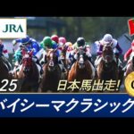 2025年 ドバイシーマクラシック（G1） | 第27回 | JRA公式