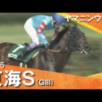 【ヤマニンウルス 武豊騎手に導かれ約1年ぶりの復活V！】2025年 東海ステークス(ＧⅢ) 【カンテレ公式】