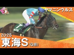 【ヤマニンウルス 武豊騎手に導かれ約1年ぶりの復活V！】2025年 東海ステークス(ＧⅢ) 【カンテレ公式】