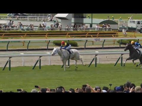 【武豊】これは強い!白毛伝説第二章開幕!2歳新馬マルガ函館千八をレコード勝ち!場内は重賞よりも大きい歓声に包まれる!