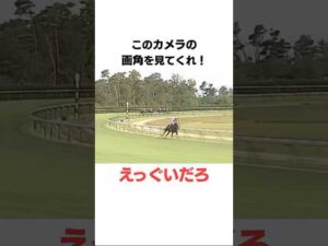 大好きな逃げ馬3選❤️#競馬 #雑学