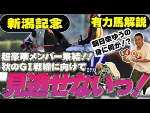 《東スポ競馬ニュース》【新潟記念2026】豪華メンバー集結！秋のGⅠ戦線に向けて見逃せない1戦だ・東スポクイズ夏の部門最終回！朝日奈ゆうの身に一体何が！？
