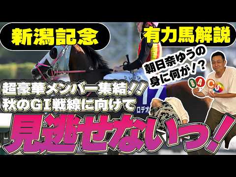 《東スポ競馬ニュース》【新潟記念2026】豪華メンバー集結！秋のGⅠ戦線に向けて見逃せない1戦だ・東スポクイズ夏の部門最終回！朝日奈ゆうの身に一体何が！？