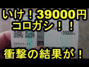 【競馬に人生】愛の複勝転がし！そこに愛はあるんかい？