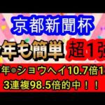 【競馬予想】京都新聞杯2026　2年連続完全的中へ確信！　馬券内率78%の最強データを教えます！！　ベレシート　エムズビギン等