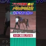 【競馬プロ予想家直伝】100万超払い戻しパドック職人「金子京介」が初心者にパドックの見方を伝授！#パドック予想 #競馬予想 #競馬初心者 #パドックの見方