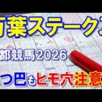 万葉ステークス２０２６【京都競馬予想】長距離戦で確実に当てに行きます