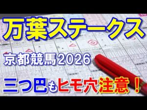 万葉ステークス２０２６【京都競馬予想】長距離戦で確実に当てに行きます