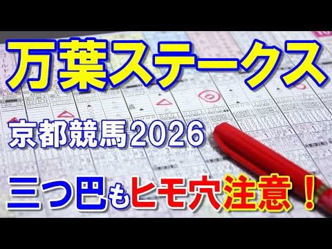 万葉ステークス２０２６【京都競馬予想】長距離戦で確実に当てに行きます