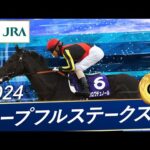 2024年 ホープフルステークス(GⅠ) | クロワデュノール | JRA公式