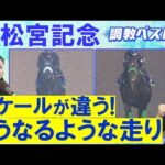 「左回りも問題なし！」ナムラクレア、サトノレーヴ、マッドクール・・・競馬エイト・高橋賢司トラックマンの調教解説＜高松宮記念(ＧⅠ)＞