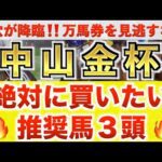 【中山金杯2026 予想】カネラフィーナ過去最高のデキ？プロが"全頭診断"から導く絶好の3頭！