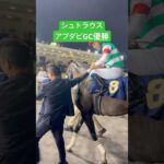 シュトラウスがアブダビゴールドカップ初代王者に👑 #シュトラウス #競馬 #モレイラ