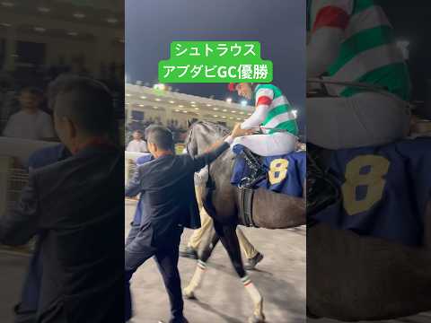 シュトラウスがアブダビゴールドカップ初代王者に👑 #シュトラウス #競馬 #モレイラ