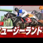 【レース映像】中山11R ニュージーランドT｜レザベーション（原優介）｜ウイニング競馬