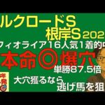 🎯フィオライア16人気1着！！シルクロードS・根岸S2026本命爆穴！「今週も大波乱だ…大穴獲るなら逃げ馬を狙え！」