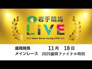 2025年11月18日 岩手競馬LIVE