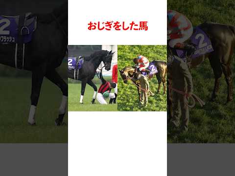 お辞儀をする超有名競走馬4選