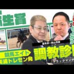 【競馬エイト調教診断】弥生賞ディープインパクト記念（星政彦＆西山茂樹）