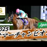 2025年 サマーチャンピオンJpnIII|第25回|NAR公式